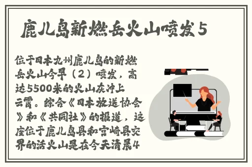 雷神和八重神子P光